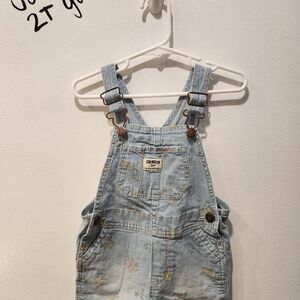 OshKosh B'Gosh Pin Stripe & Floral Denim Shortie Overalls 2T